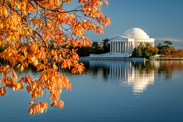 Autumn Afternoon At The Tidal Basin