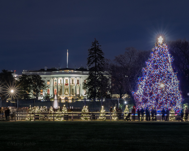 Holiday Photos Around the White House