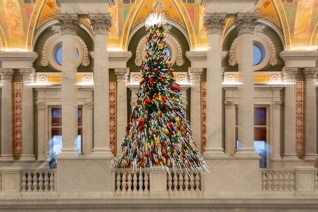 Holiday Field Shoot at the Library of Congress