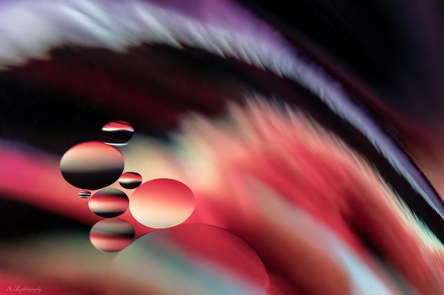 Abstract Photography – Creating Abstract Images