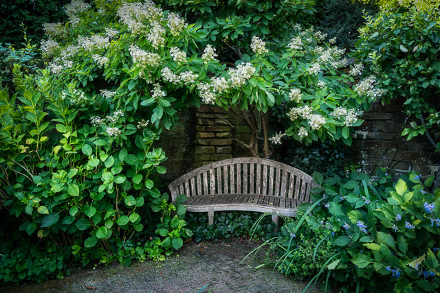 Spring Compositions at Dumbarton Oaks Gardens
