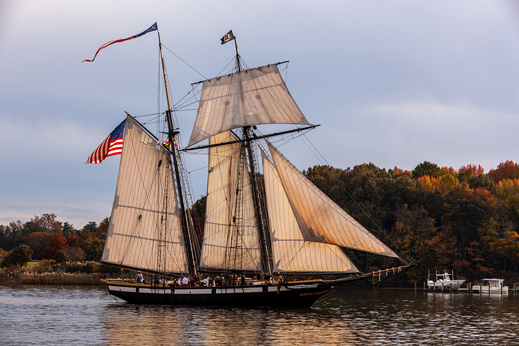 Majestic Tall Ships in Chestertown