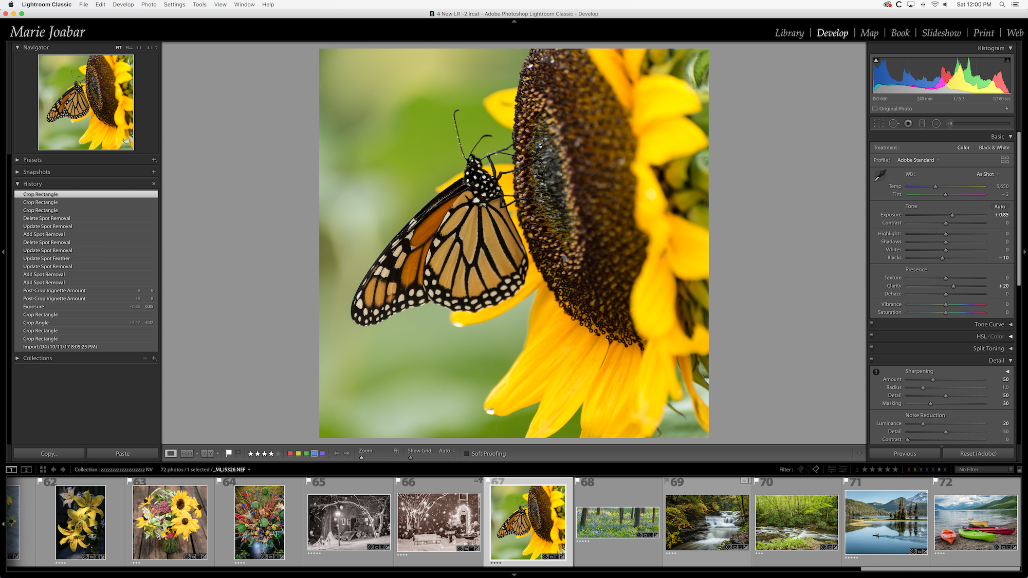 The Lightroom Classic Develop Module - Powerful Editing Tools
