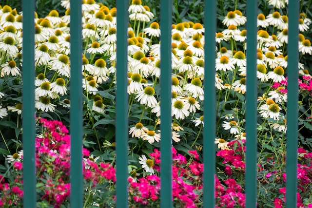 Fieldwork - Photo Basics At Sculpture Garden