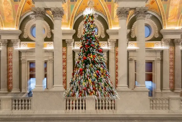 Holiday Field Shoot at the Library of Congress
