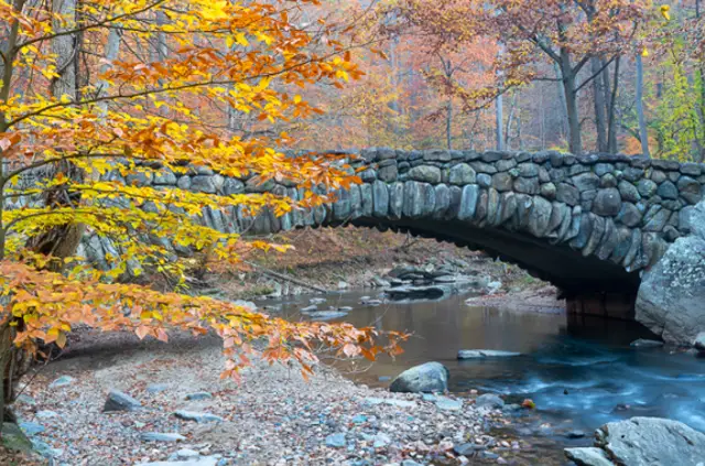 Rock Creek Park Photo Hike