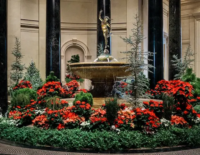 Holiday Magic Through Your Smartphone