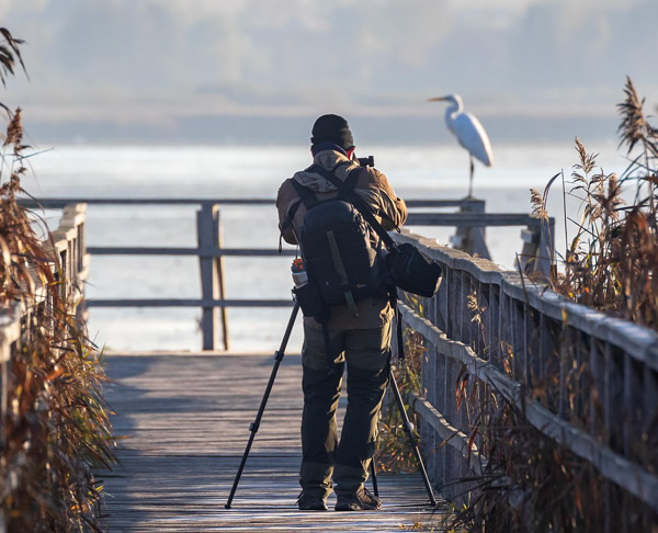 Where Does Patience Fit in Modern Photography?