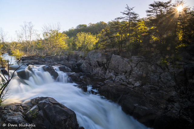 Waterfalls of the Potomac-Dara Nicholls