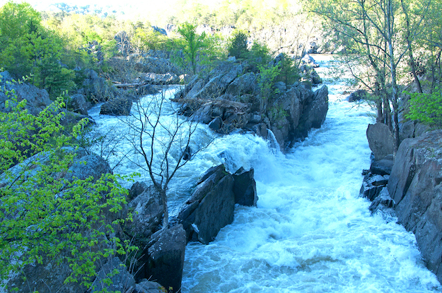 Waterfalls of the Potomac-Helen Noyes