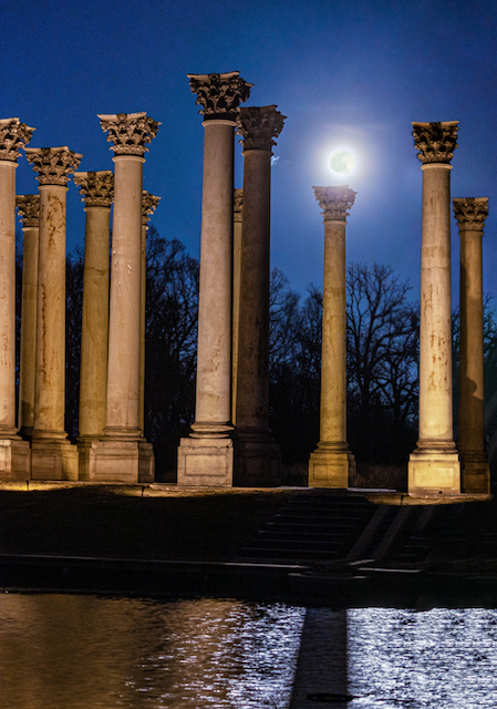 Sunset and Moonrise over the Capitol Columns at the National Arboretum-Barry Scheiner