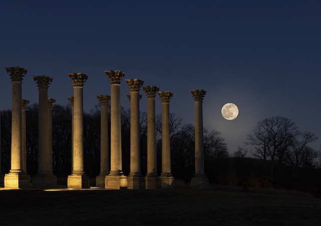 Sunset and Moonrise over the Capitol Columns at the National Arboretum-Leslie Ann Gerardo