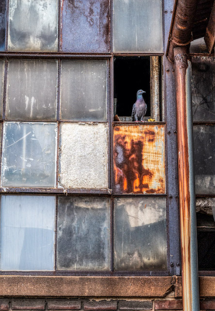 Bygone Industrial Buildings in Baltimore-Craig Nedrow