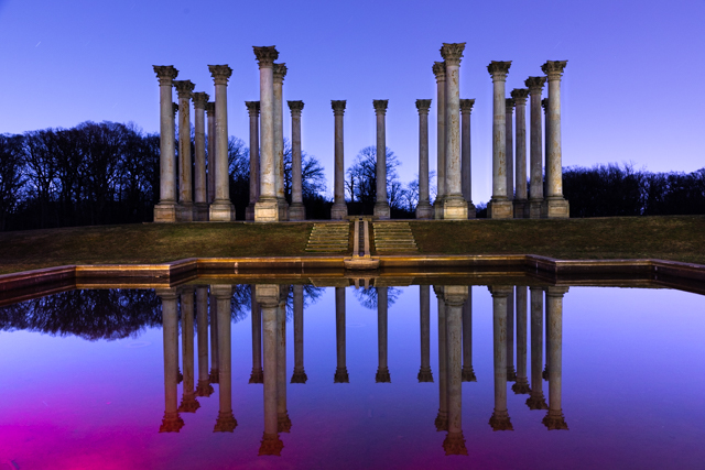 Painting with Light at the National Arboretum-Sidney Stone