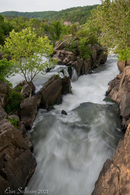 Waterfalls of the Potomac-Erin Sullivan
