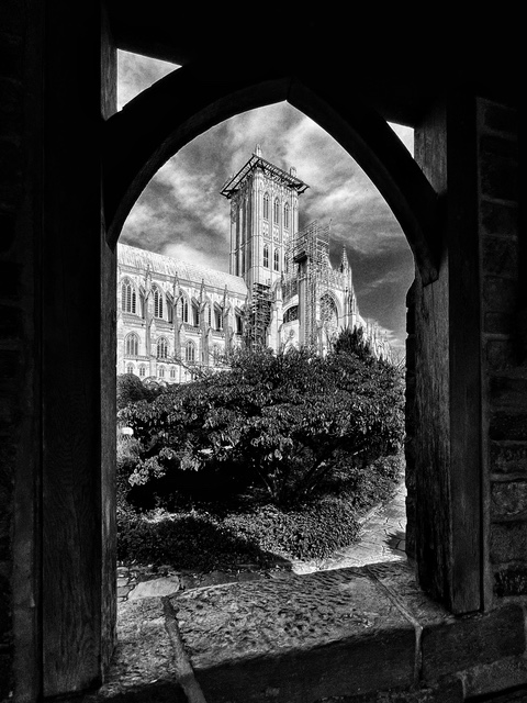 Exploring the Bishop’s Gardens and Olmsted Woods at National Cathedral-Bruce Field