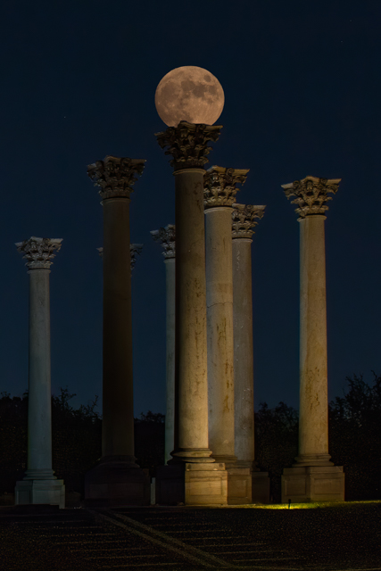 Sunset and Moonrise At The Capitol Columns At National Arboretum-George Bradshaw