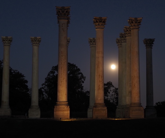 Sunset and Moonrise At The Capitol Columns At National Arboretum-Mark Salo