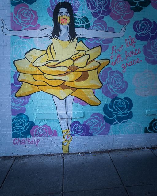 Street Art and Mural Photography-Eric Trexler