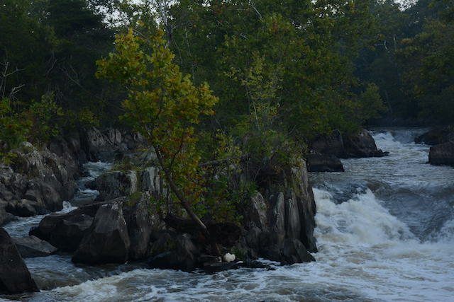 Waterfalls of the Potomac-Jacob Ngo