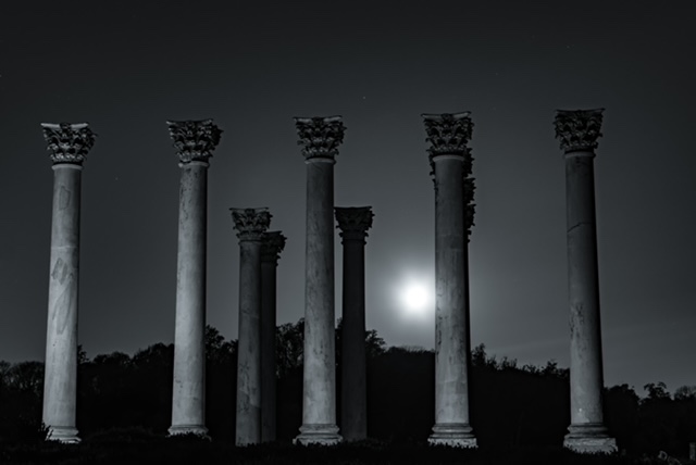 Moonset and Sunrise At The Capitol Columns At National Arboretum -Lourdes Sanchez