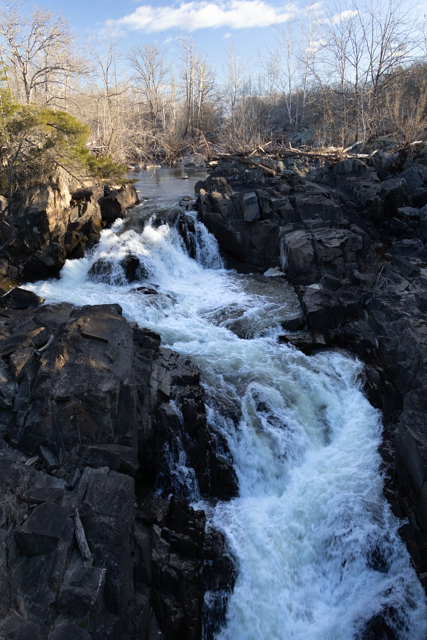Waterfalls of the Potomac-Katie Engel
