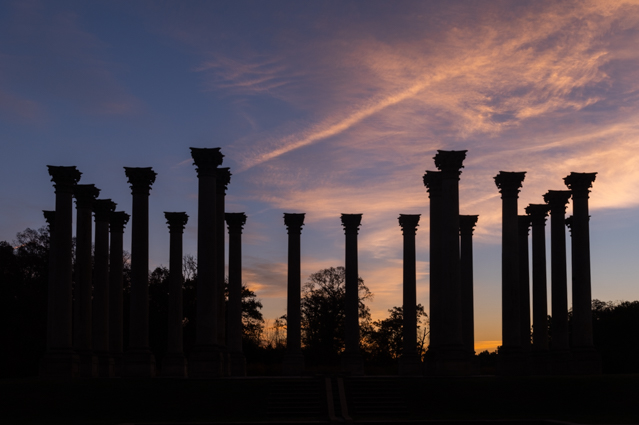 Moonset and Sunrise Over Capitol Columns At National Arboretum-Lyn Miller