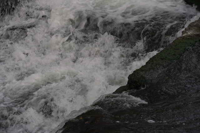 Waterfalls of the Potomac-Madelene Tomseth