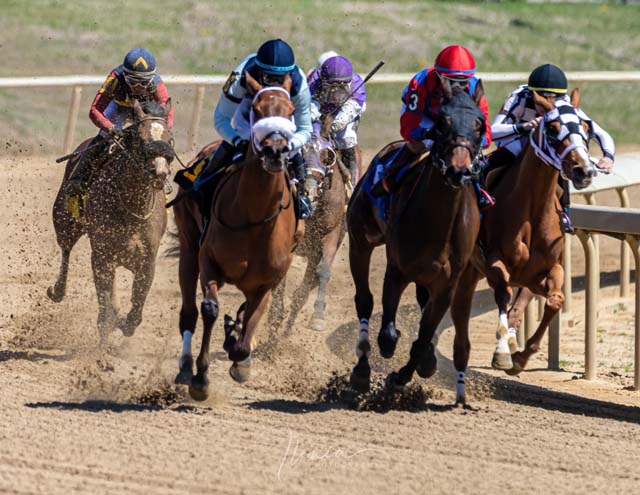 The Thrill of Horse Racing-Ilenia Alvarez