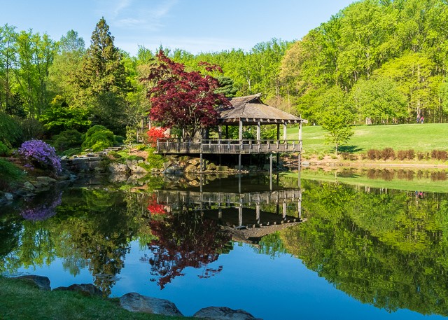 Spring at Brookside Gardens-Jess Rowden