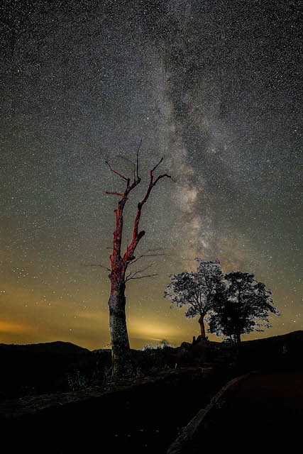 Stargazing In The Shenandoah-Angela Poh