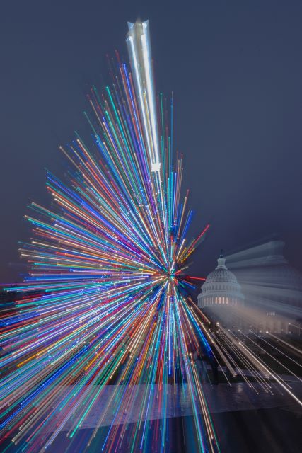 Tree to Tree - National Holiday Lights Field Shoot-Tiffany Moldenhauer