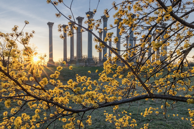 Moonset and Sunrise Over Capitol Columns At National Arboretum-Thomas Cluderay