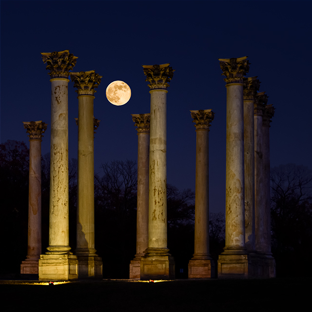 Sunset Moonrise Over Capitol Columns-Kim Kowalewski