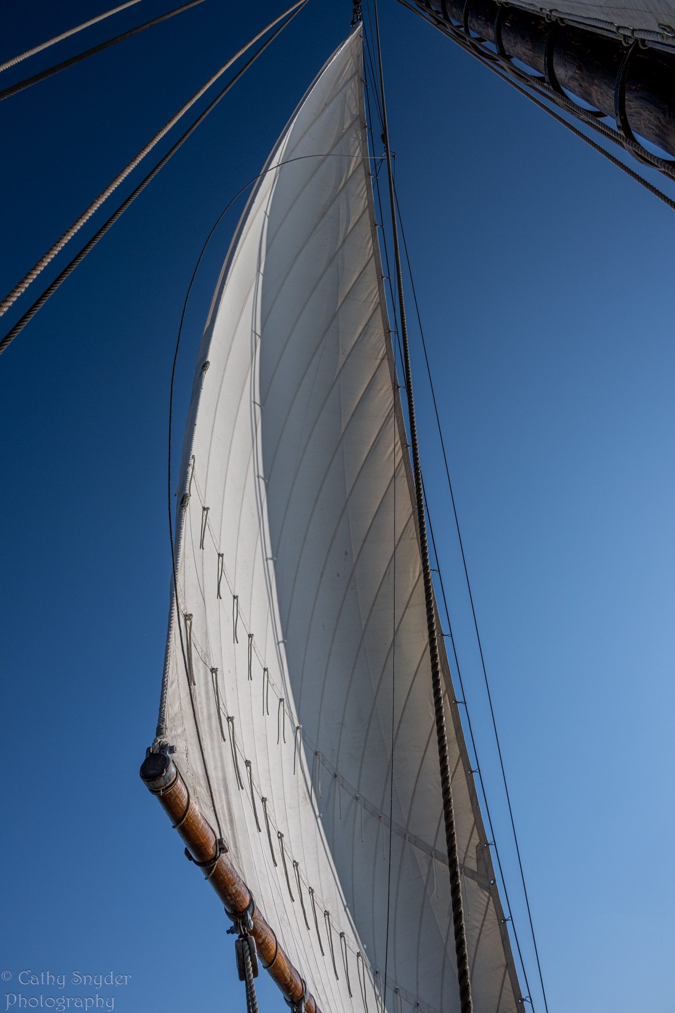 Majestic Tall Ships Field Shoot-Cathy Snyder